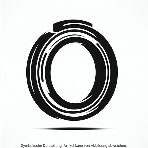 Dichtring düsenschacht bosch - düsenschacht,