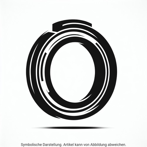Dichtring düsenschacht bosch - dichtring,
